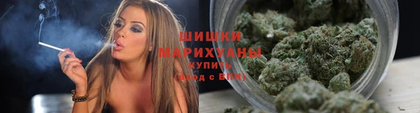 мдпв Инсар
