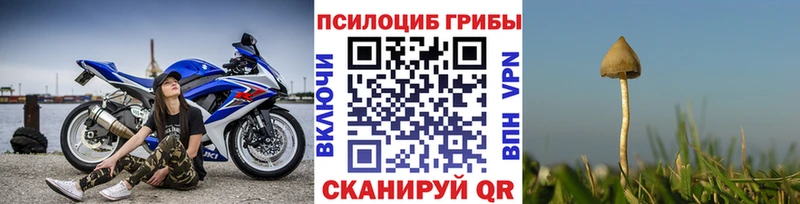 Галлюциногенные грибы Psilocybe  Геленджик 
